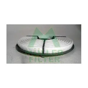 PA3300 MULLER FILTER