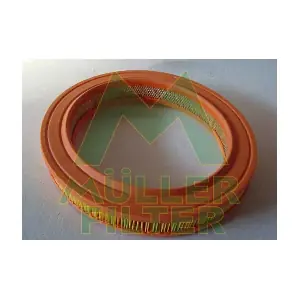 PA117 MULLER FILTER