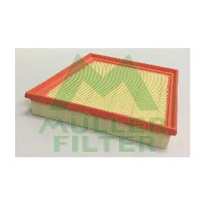 PA3821 MULLER FILTER