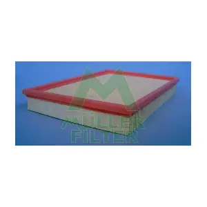 PA2118 MULLER FILTER