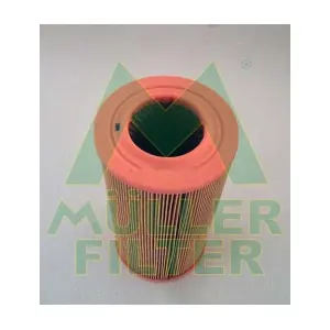 PA3124 MULLER FILTER