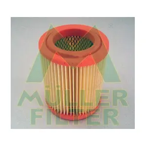 PA3167 MULLER FILTER