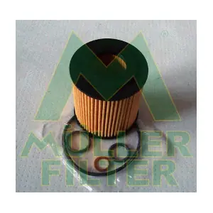 FOP450 MULLER FILTER