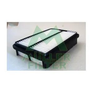 PA3136 MULLER FILTER