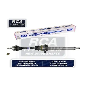 AM124DAN RCA FRANCE