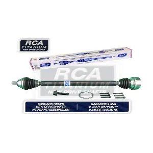 RCA FRANCE AA439AN
