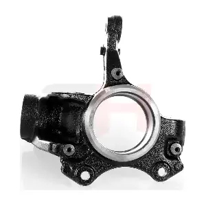 GH-294370V GH
