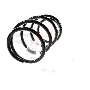 GH-203971 GH