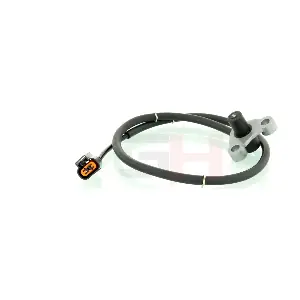 GH-713065 GH