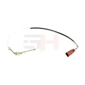 GH-744704 GH