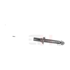 GH-331067 GH