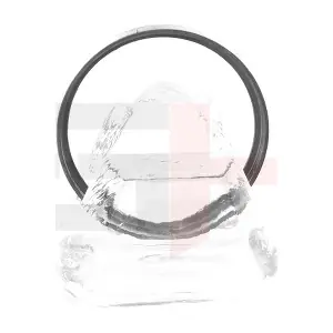 GH-493763 GH