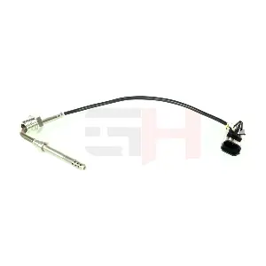 GH-745061 GH
