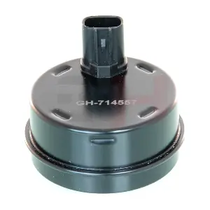 GH-714557 GH
