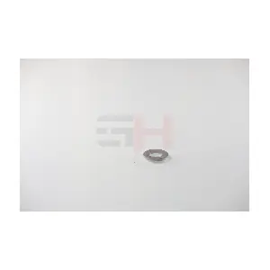 GH-391053 GH