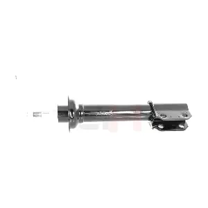 GH-323950 GH