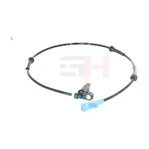 GH-713704 GH