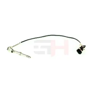 GH-745204 GH