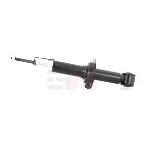 GH-333081 GH