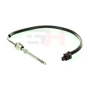 GH-743305 GH