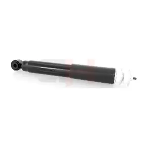 GH-333361 GH