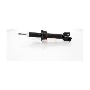 GH-302632 GH
