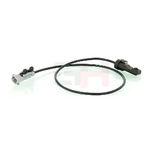 GH-719304 GH