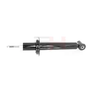 GH-302806 GH