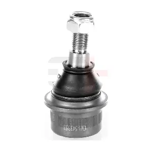 GH-543353 GH
