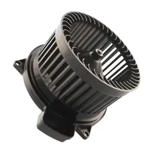 GE4801 GAUSS