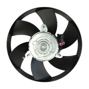 GE1006 GAUSS