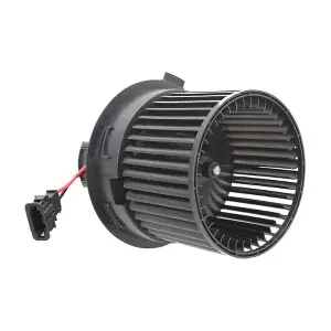 GE4001 GAUSS