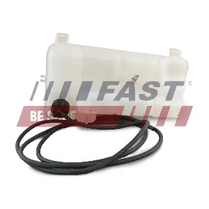 FT61239 FAST