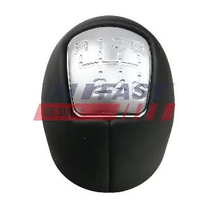 FT73243 FAST