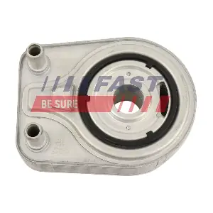 FT01029 FAST