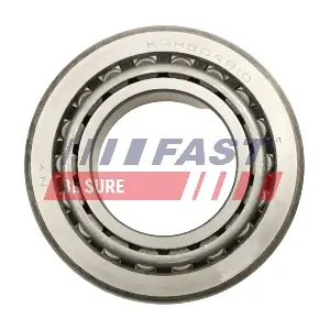 FT66304 FAST