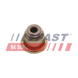 FT49616 FAST