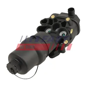 FT01035 FAST