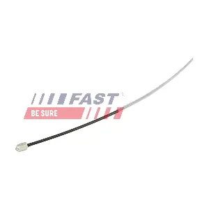 FT10047 FAST