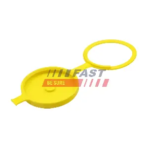 FT94605 FAST