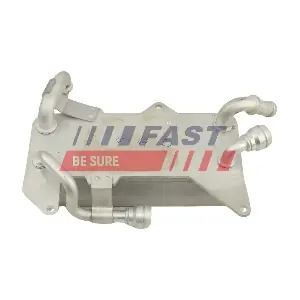 FT01013 FAST