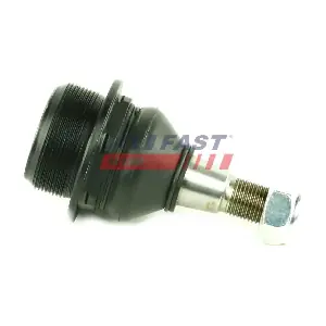 FT17113 FAST