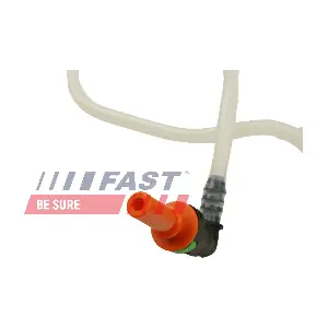 FT39653 FAST