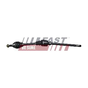 FT27119 FAST