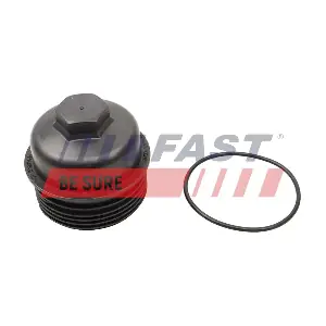 FT38207 FAST