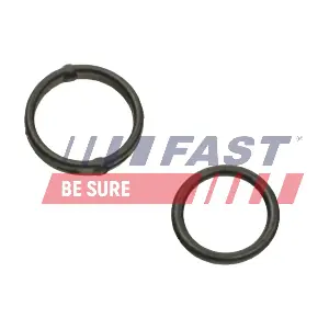 FT38804 FAST