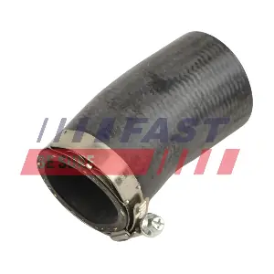 FT01248 FAST