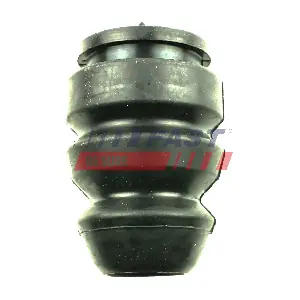 FT12172 FAST
