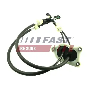 FT73079 FAST