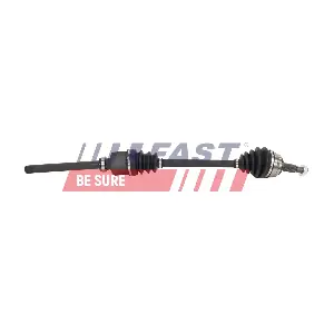 FT01448 FAST